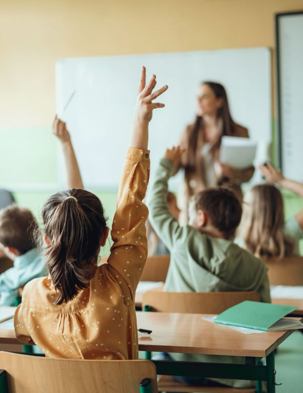 Student participation